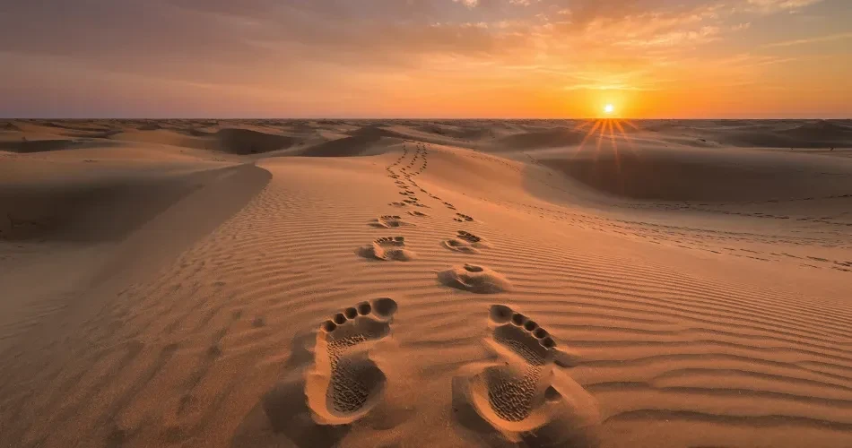 Barstow Outdoor Guide: Hiking Trails, Desert Adventures & Nature Escapes in Mojave
